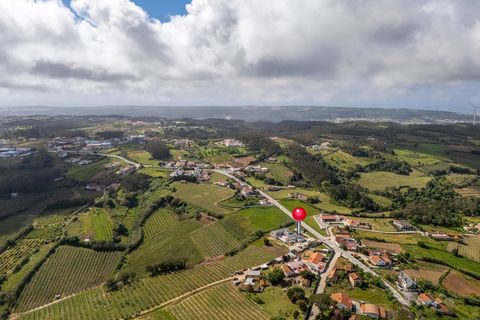 Villa i Alcobaca, Leiria, Alcobaca - € 2.100.000 | Ref: BL1356 - foto 50