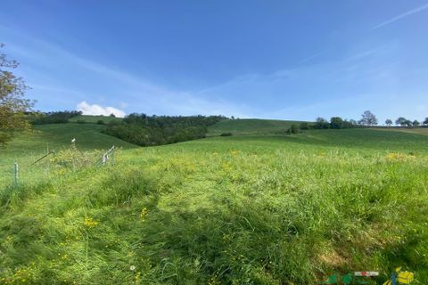 Villa a Medesano, Parma, Medesano - € 248.000 | Ref: 935 - foto 33