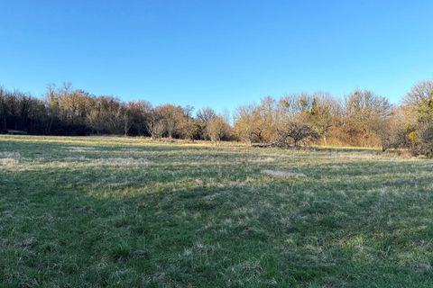 Terra a Pirey, Doubs, Pirey - € 244.000 | Ref: PG020545-_06 - foto 3