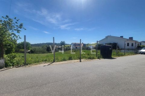 Terra a Agueda, Aveiro, Agueda - € 69.500 | Ref: AV2899 - foto 2