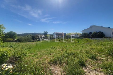 Terra a Agueda, Aveiro, Agueda - € 69.500 | Ref: AV2899 - foto 3