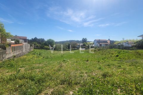 Terra a Agueda, Aveiro, Agueda - € 69.500 | Ref: AV2899 - foto 4