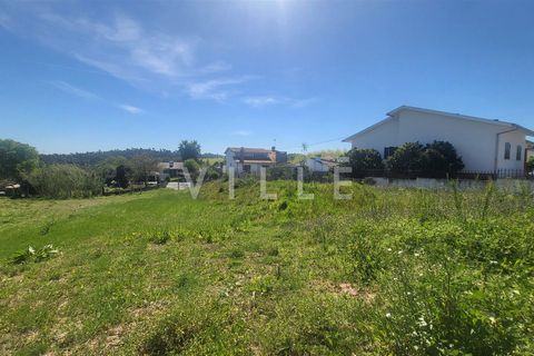 Terra a Agueda, Aveiro, Agueda - € 69.500 | Ref: AV2899 - foto 5
