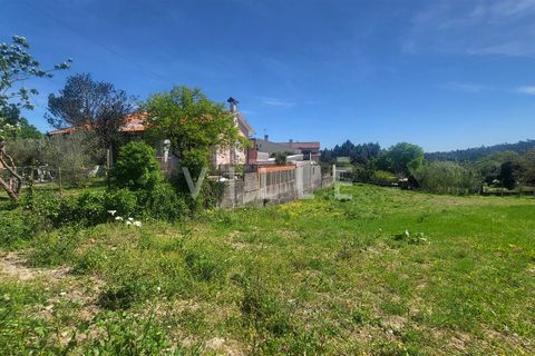 Terra a Agueda, Aveiro, Agueda - € 69.500 | Ref: AV2899 - foto 6