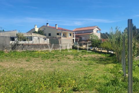 Terra a Agueda, Aveiro, Agueda - € 69.500 | Ref: AV2899 - foto 7