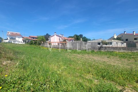 Terra a Agueda, Aveiro, Agueda - € 69.500 | Ref: AV2899 - foto 8