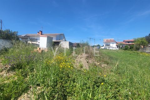 Terra a Agueda, Aveiro, Agueda - € 69.500 | Ref: AV2899 - foto 10