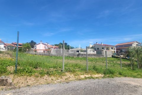 Terra a Agueda, Aveiro, Agueda - € 69.500 | Ref: AV2899 - foto 11