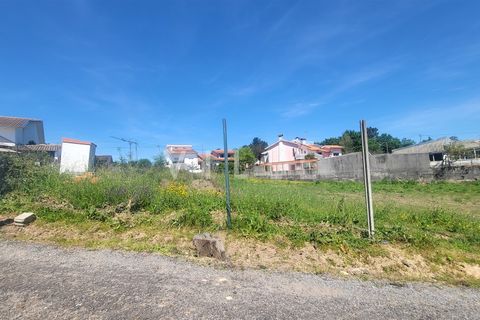 Terra a Agueda, Aveiro, Agueda - € 69.500 | Ref: AV2899 - foto 12