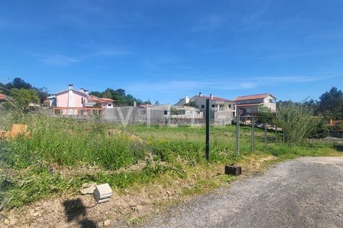 Terra a Agueda, Aveiro, Agueda - € 69.500 | Ref: AV2899 - foto 13