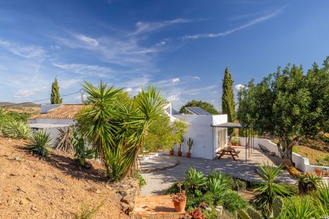 Farm hus i Tavira, Faro, Tavira - € 635.000 | Ref: HOME2470Q - foto 32