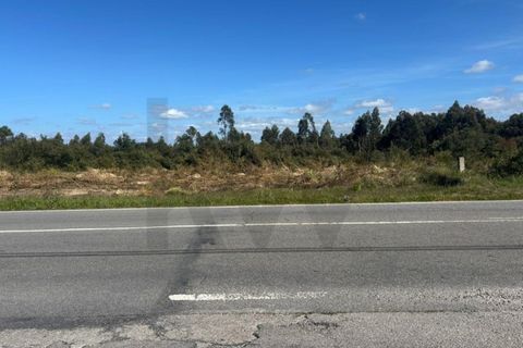 Helårsgrund i Chaves, Vila Real, Chaves - € 160.000 | Ref: KWPT-031260 - foto 4