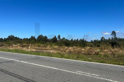 Helårsgrund i Chaves, Vila Real, Chaves - € 160.000 | Ref: KWPT-031260 - foto 5