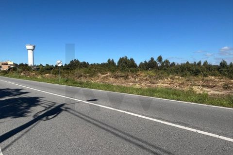 Helårsgrund i Chaves, Vila Real, Chaves - € 160.000 | Ref: KWPT-031260 - foto 13