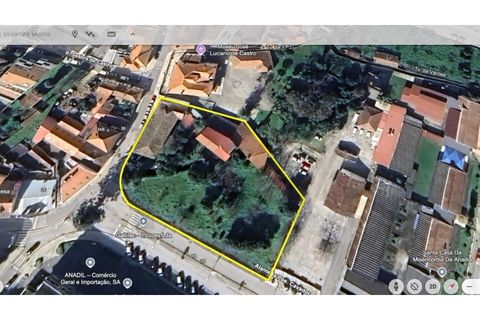 Villa a Anadia, Aveiro, Anadia - € 775.000 | Ref: KWPT-030473 - foto 4
