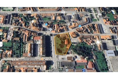 Villa a Anadia, Aveiro, Anadia - € 775.000 | Ref: KWPT-030473 - foto 6