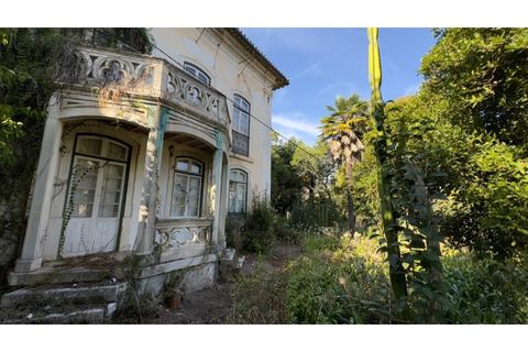Villa a Anadia, Aveiro, Anadia - € 775.000 | Ref: KWPT-030473 - foto 19