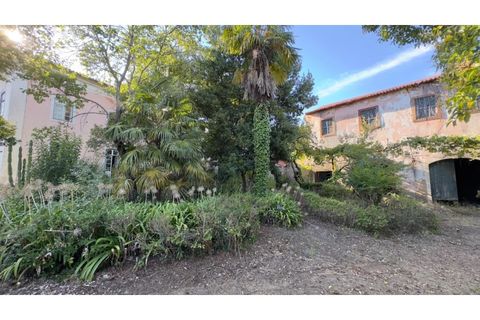 Villa a Anadia, Aveiro, Anadia - € 775.000 | Ref: KWPT-030473 - foto 21