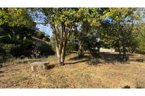 Villa a Anadia, Aveiro, Anadia - € 775.000 | Ref: KWPT-030473 - foto 22