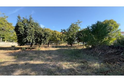 Villa a Anadia, Aveiro, Anadia - € 775.000 | Ref: KWPT-030473 - foto 24