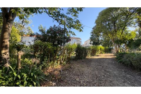 Villa a Anadia, Aveiro, Anadia - € 775.000 | Ref: KWPT-030473 - foto 26