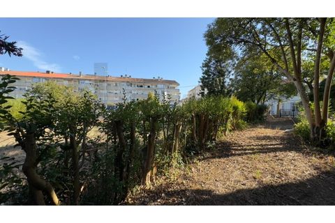 Villa a Anadia, Aveiro, Anadia - € 775.000 | Ref: KWPT-030473 - foto 27