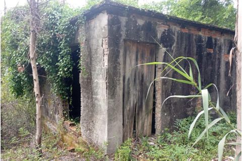Terra a Arouca, Aveiro, Arouca - € 50.000 | Ref: KWPT-031385 - foto 2
