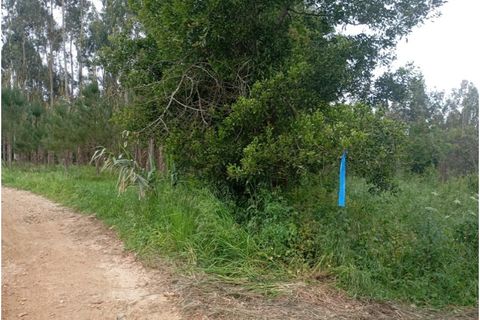 Terra a Arouca, Aveiro, Arouca - € 50.000 | Ref: KWPT-031385 - foto 5