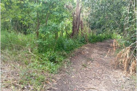 Terra a Arouca, Aveiro, Arouca - € 50.000 | Ref: KWPT-031385 - foto 6