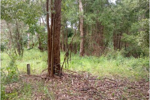 Terra a Arouca, Aveiro, Arouca - € 50.000 | Ref: KWPT-031385 - foto 10