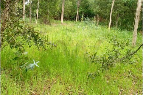 Terra a Arouca, Aveiro, Arouca - € 50.000 | Ref: KWPT-031385 - foto 11