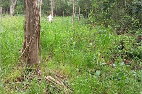 Terra a Arouca, Aveiro, Arouca - € 50.000 | Ref: KWPT-031385 - foto 12
