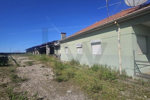 Villa i Aveiro, Aveiro, Aveiro - € 230.000 | Ref: KWPT-031293 - foto 5