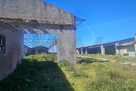 Villa i Aveiro, Aveiro, Aveiro - € 230.000 | Ref: KWPT-031293 - foto 16
