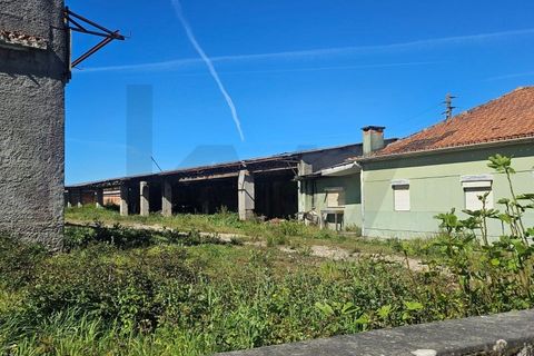 Villa i Aveiro, Aveiro, Aveiro - € 230.000 | Ref: KWPT-031293 - foto 17