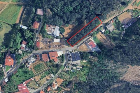 Helårsgrund i Agueda, Aveiro, Agueda - € 27.500 | Ref: KWPT-031285 - foto 1
