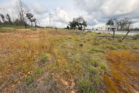Helårsgrund i Agueda, Aveiro, Agueda - € 27.500 | Ref: KWPT-031285 - foto 3