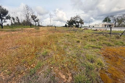 Helårsgrund i Agueda, Aveiro, Agueda - € 27.500 | Ref: KWPT-031285 - foto 4