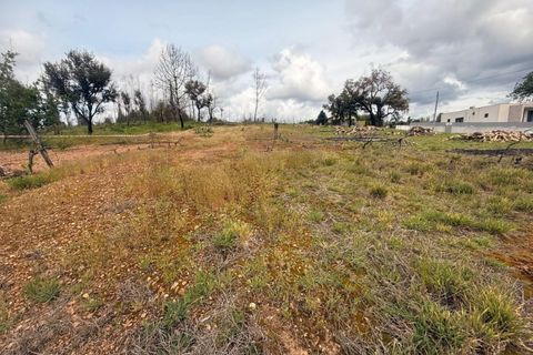 Helårsgrund i Agueda, Aveiro, Agueda - € 27.500 | Ref: KWPT-031285 - foto 5