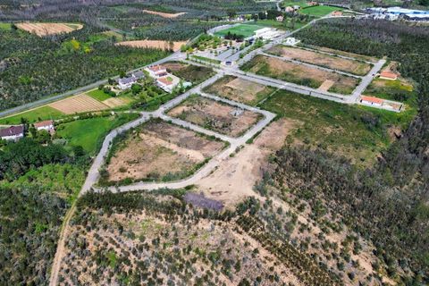 Helårsgrund i Agueda, Aveiro, Agueda - € 27.000 | Ref: 1060985/26 AL - foto 3