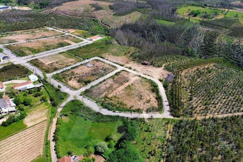 Helårsgrund i Agueda, Aveiro, Agueda - € 27.000 | Ref: 1060985/26 AL - foto 4