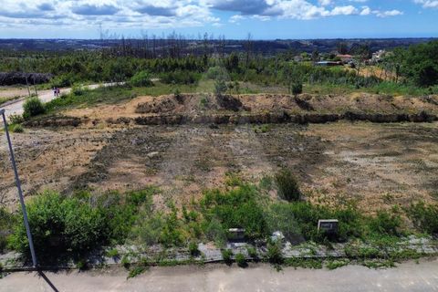 Helårsgrund i Agueda, Aveiro, Agueda - € 27.000 | Ref: 1060985/26 AL - foto 13