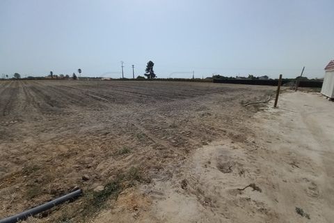 Terra a Palmela, Setubal, Palmela - € 800/mes | Ref: CC_TER_17606 - foto 2
