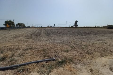 Terra a Palmela, Setubal, Palmela - € 800/mes | Ref: CC_TER_17606 - foto 4