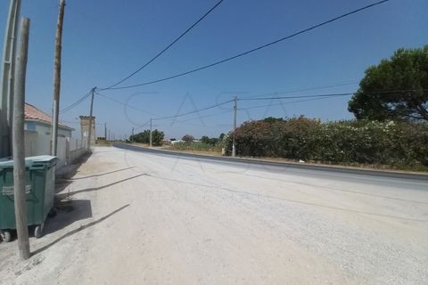 Terra a Palmela, Setubal, Palmela - € 800/mes | Ref: CC_TER_17606 - foto 6