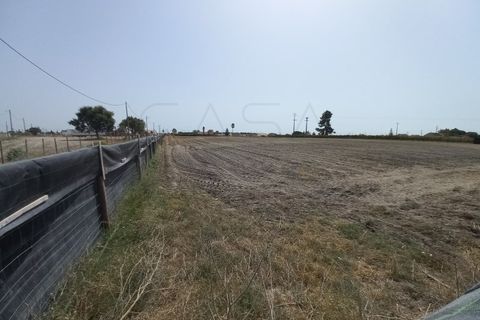 Terra a Palmela, Setubal, Palmela - € 800/mes | Ref: CC_TER_17606 - foto 8