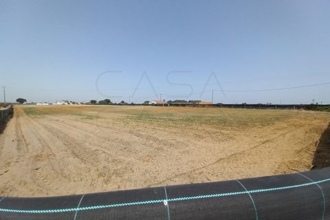 Terra a Palmela, Setubal, Palmela - € 800/mes | Ref: CC_TER_17606 - foto 11