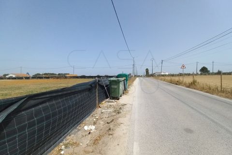 Terra a Palmela, Setubal, Palmela - € 800/mes | Ref: CC_TER_17606 - foto 12