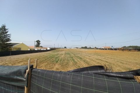 Terra a Palmela, Setubal, Palmela - € 800/mes | Ref: CC_TER_17606 - foto 14