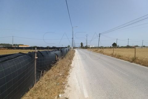 Terra a Palmela, Setubal, Palmela - € 800/mes | Ref: CC_TER_17606 - foto 15